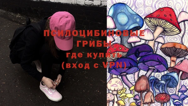 дурь Беломорск